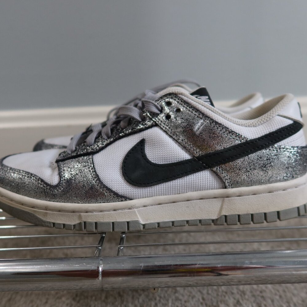 Nike Low Dunk Golden Gals Metallic Silver‎